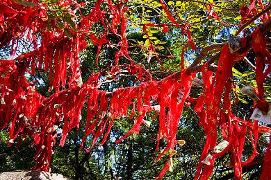 在《战锤40K:极速狂飙》等游戏中开启DLSS，获得真实的游戏体验