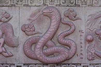 《方舟：优胜党的生存》新版上线 追加增强多项机能