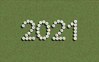 《明末：渊虚之羽》新视频及截图：招式展示 画面超美