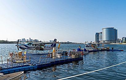 跑酷系统革新！ 《刺客信条：影》公布秋季更新路线图