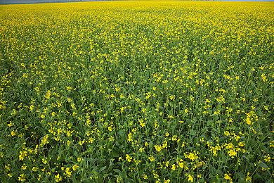 《漫威暗夜之子》“战斗系统概览”预告片公布