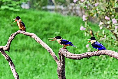 第一人称战术射击游戏《零点时刻》正式版已推出 获特别好评