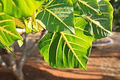 Apex第三！Steam 2023年3月十大热门游戏出炉